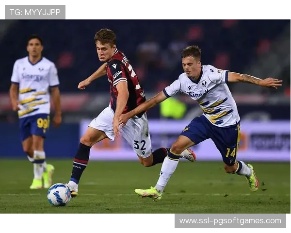 里尔vs里昂法甲对决,主队防线稳定性受考验